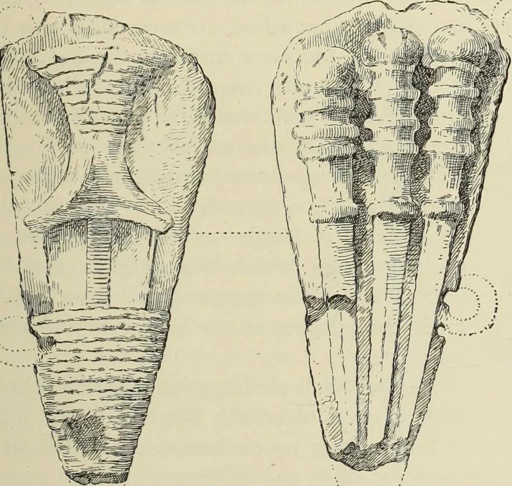 An illustration from History of art in Sardinia, Judaea, Syria, and Asia Minor, 1890, leaf 94