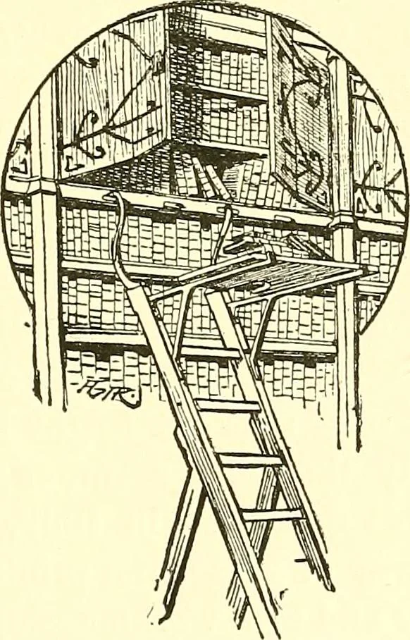 An illustration from A history of the art of bookbinding. With some account of the books of the ancients, 1894, leaf 164