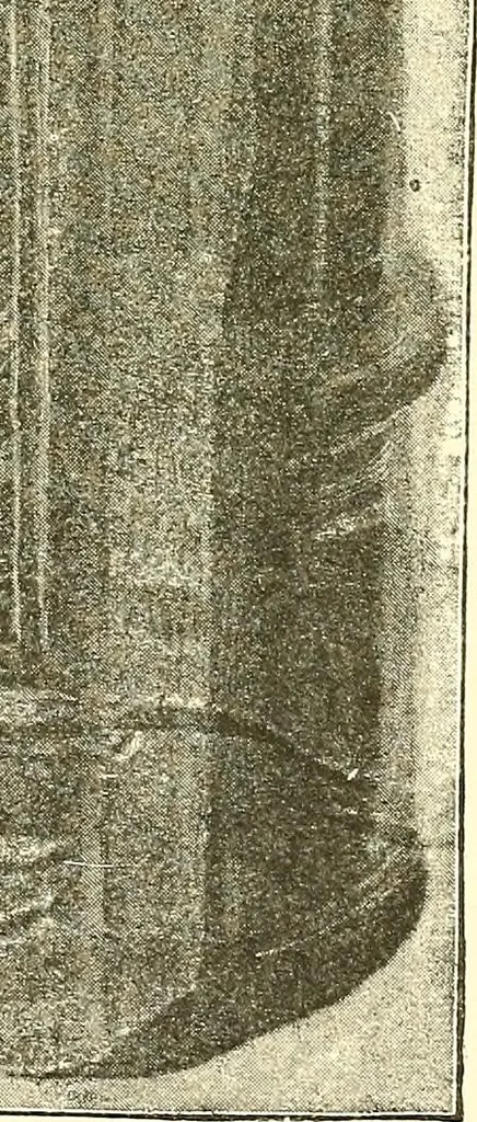 An illustration from A history of the art of bookbinding. With some account of the books of the ancients, 1894, leaf 202