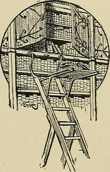 An illustration from A history of the art of bookbinding : with some account of the books of the ancients, 1894, leaf 150