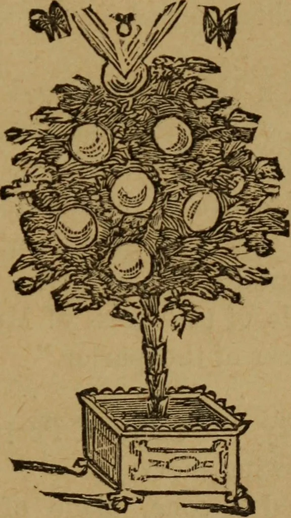 An illustration from A history of the art of magic : containing anecdotes, explanation of tricks and a sketch of the life of Alexander Hermann, 1887, leaf 132