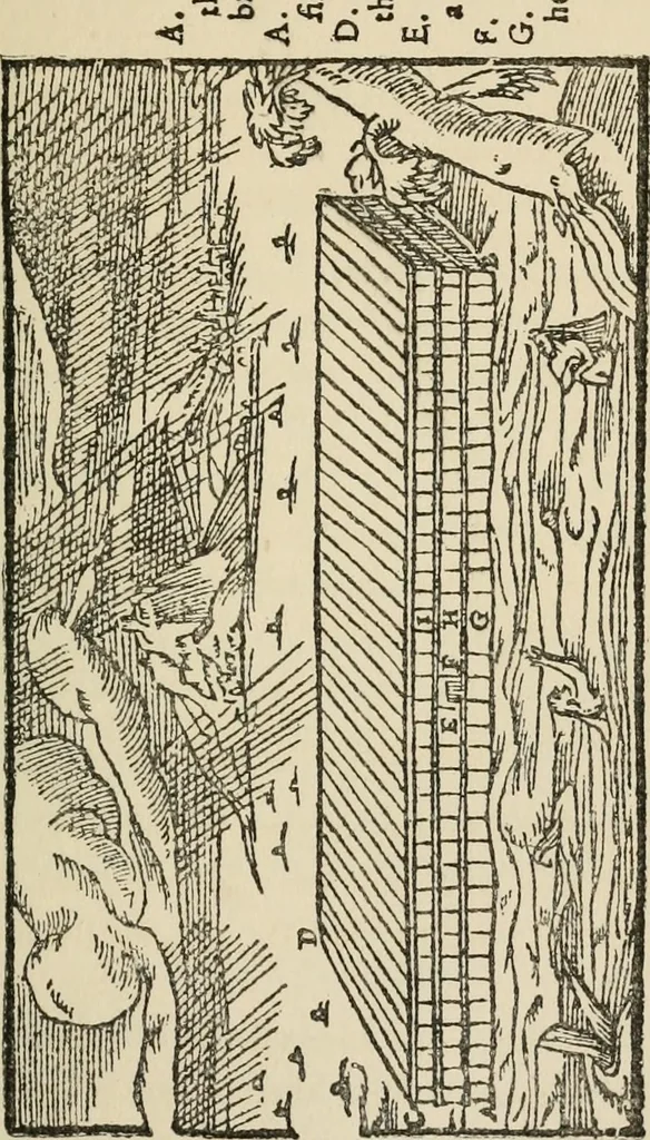 An illustration from History of the Bassandyne Bible, the first printed in Scotland with notices of the early printers of Edinburgh, 1887, leaf 146