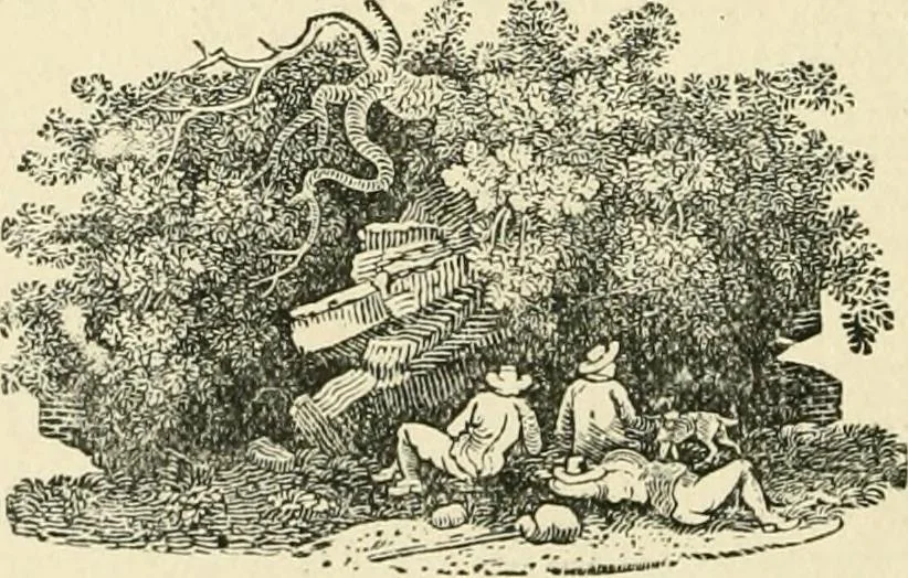 An illustration from The history of Brighouse, Rastrick, and Hipperholme; with monorial notes on Coley, Lightcliffe, Northowram, Shelf, Fixby, Clifton and Kirklees, 1893, leaf 251