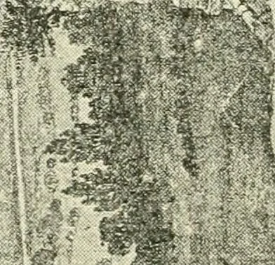 An illustration from The history of Brighouse, Rastrick, and Hipperholme; with monorial notes on Coley, Lightcliffe, Northowram, Shelf, Fixby, Clifton and Kirklees, 1893, leaf 279