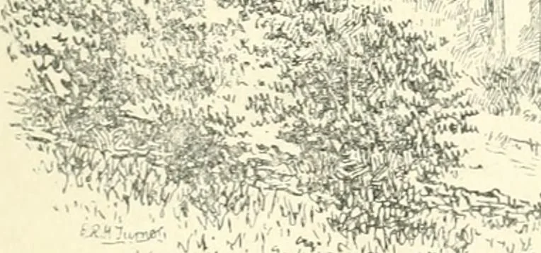 An illustration from The history of Brighouse, Rastrick, and Hipperholme; with monorial notes on Coley, Lightcliffe, Northowram, Shelf, Fixby, Clifton and Kirklees, 1893, leaf 280