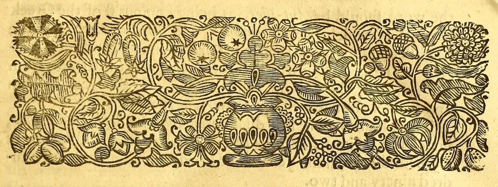 An illustration from The history of the Caribby-Islands, : viz. Barbados, St Christophers, St Vincents, Martinico, Dominico, Barbouthos, Monserrat, Mevis [sic], Antego, &c. in all XXVIII. : In two books. The first containing the natural; the second, the moral history of those islands. : Illustrated with several pieces of sculpture, representing the most considerable rarities therein described. : With a Caribbian-vocabulary., 1666, leaf 13