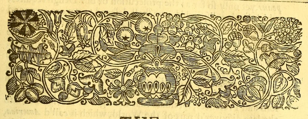 An illustration from The history of the Caribby-Islands, : viz. Barbados, St Christophers, St Vincents, Martinico, Dominico, Barbouthos, Monserrat, Mevis [sic], Antego, &c. in all XXVIII. : In two books. The first containing the natural; the second, the moral history of those islands. : Illustrated with several pieces of sculpture, representing the most considerable rarities therein described. : With a Caribbian-vocabulary., 1666, leaf 187