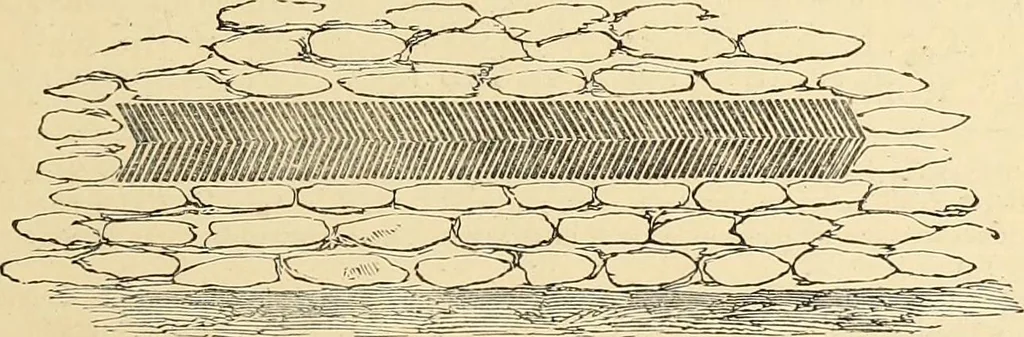 An illustration from A history of the castles, mansions, and manors of western Sussex, 1876, leaf 92