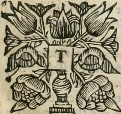 An illustration from The history of the civil wars of France, 1678, leaf 10