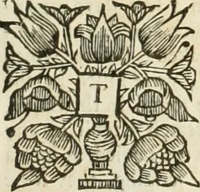 An illustration from The history of the civil wars of France, 1678, leaf 160