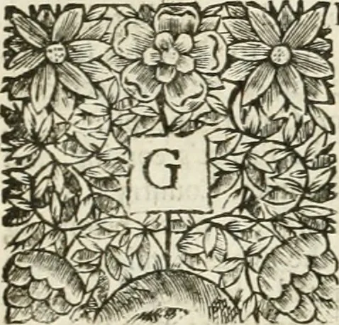 An illustration from The history of the civil wars of France, 1678, leaf 297
