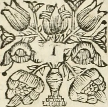 An illustration from The history of the civil wars of France, 1678, leaf 341