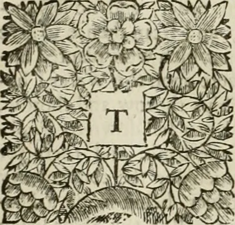 An illustration from The history of the civil wars of France, 1678, leaf 553
