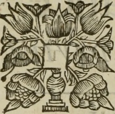 An illustration from The history of the civil wars of France, 1678, leaf 626