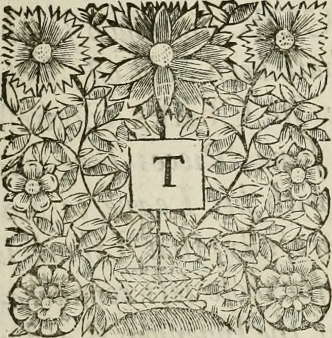 An illustration from The history of the civil wars of France, 1678, leaf 8