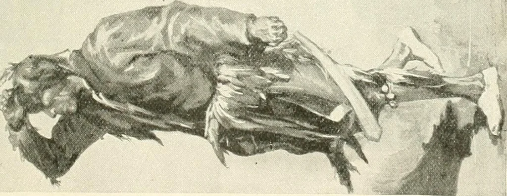 An illustration from The history of the devil and the idea of evil; from the earliest times to the present day, 1899, leaf 290