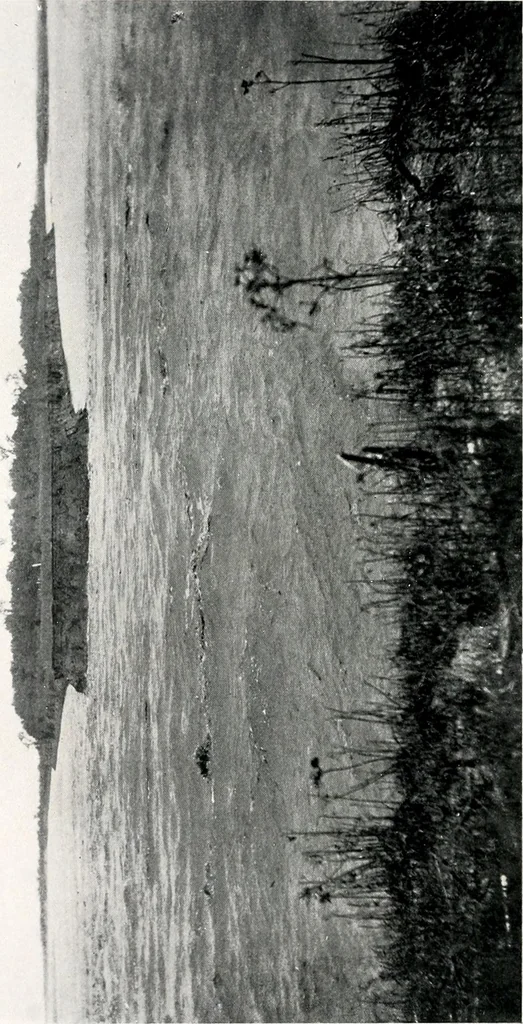 An illustration from History of early steamboat navigation on the Missouri River : life and adventures of Joseph La Barge, 1903, leaf 99