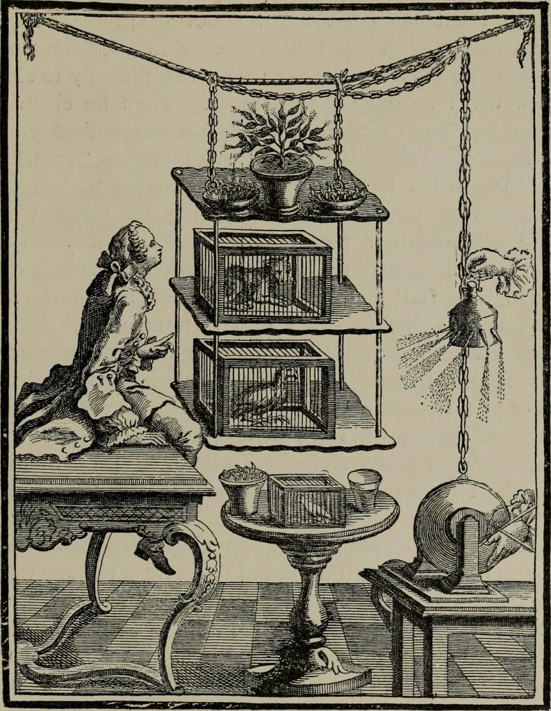 An illustration from A history of electricity : the intellectual rise in electricity from antiquity to the days of Benjamin Franklin, 1898, leaf 536
