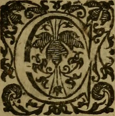 An illustration from The history of the English and Scotch Presbytery : wherein is discovered their designs and practises for the subversion of government in church and state, 1660, leaf 8