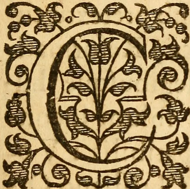 An illustration from The history of the English and Scotch presbytery : wherein is discovered their designes and practises for the subversion of government in church and state, 1659, leaf 10