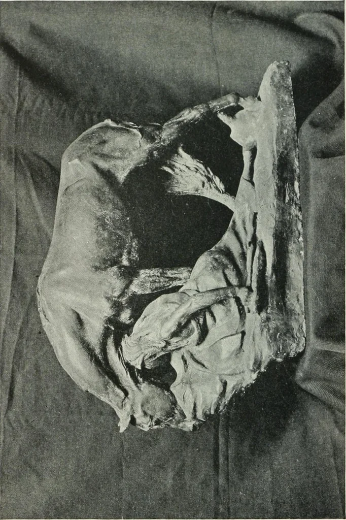 An illustration from A history of European and American sculpture from the early Christian period to the present day, 1921, leaf 355