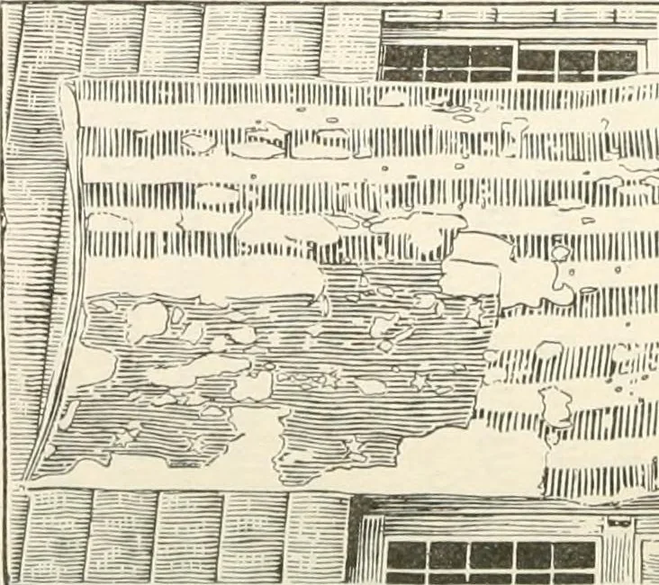 An illustration from History of the flag of the United States of America : and of the naval and yacht-club signals, seals, and arms, and principal national songs of the United States, with a chronicle of the symbols, standards, banners, and flags of ancient and modern nations, 1894, leaf 362