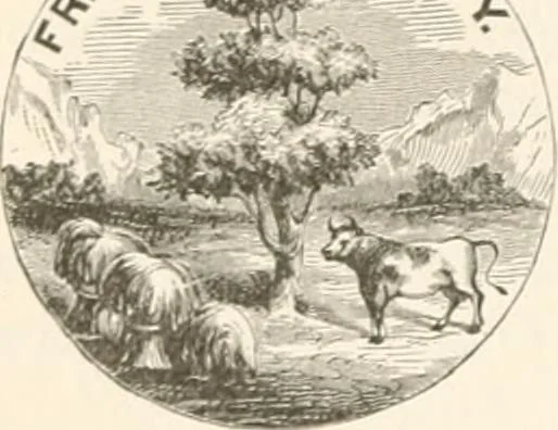 An illustration from History of the flag of the United States of America : and of the naval and yacht-club signals, seals, and arms, and principal national songs of the United States, with a chronicle of the symbols, standards, banners, and flags of ancient and modern nations, 1894, leaf 647