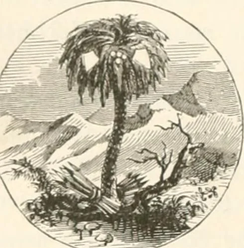 An illustration from History of the flag of the United States of America : and of the naval and yacht-club signals, seals, and arms, and principal national songs of the United States, with a chronicle of the symbols, standards, banners, and flags of ancient and modern nations, 1894, leaf 667