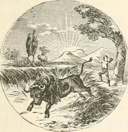 An illustration from History of the flag of the United States of America : and of the naval and yacht-club signals, seals, and arms, and principal national songs of the United States, with a chronicle of the symbols, standards, banners, and flags of ancient and modern nations, 1894, leaf 682