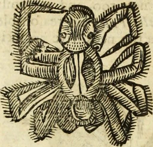 An illustration from The history of four-footed beasts and serpents., 1658, leaf 1023