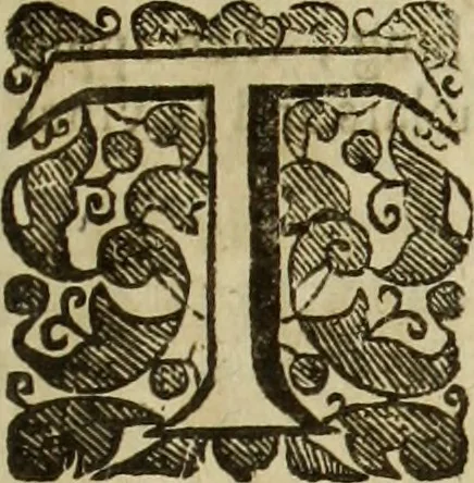 An illustration from The history of four-footed beasts and serpents., 1658, leaf 12