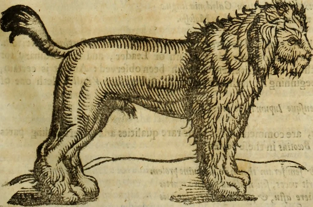 An illustration from The history of four-footed beasts and serpents., 1658, leaf 136