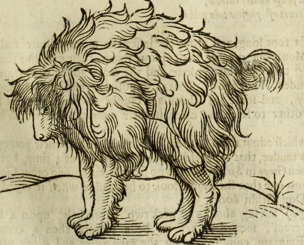 An illustration from The history of four-footed beasts and serpents., 1658, leaf 142