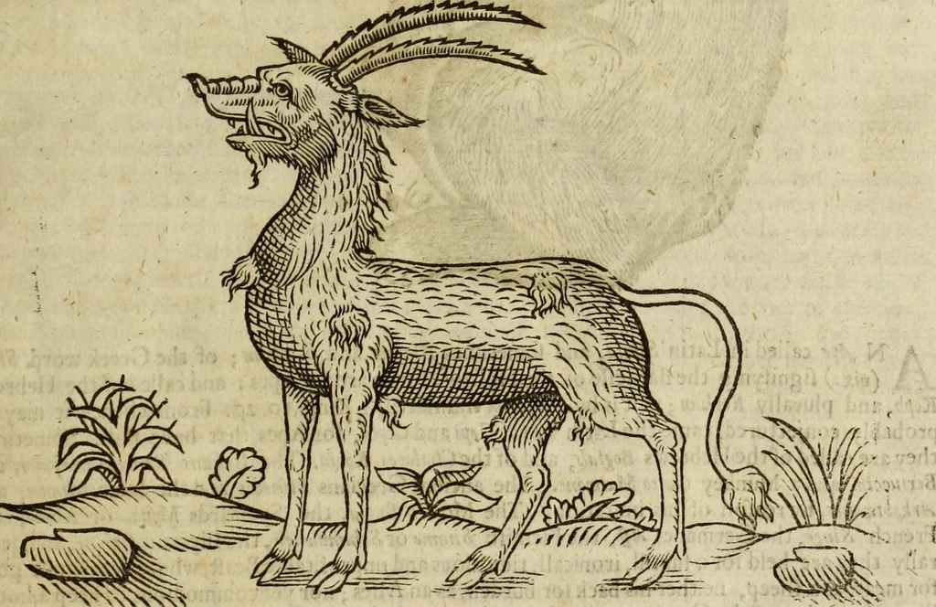An illustration from The history of four-footed beasts and serpents., 1658, leaf 20