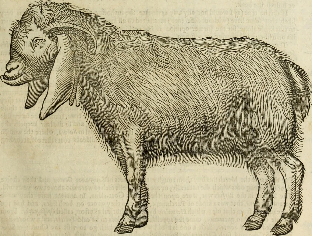 An illustration from The history of four-footed beasts and serpents., 1658, leaf 200