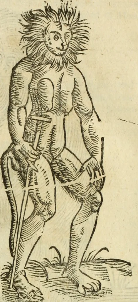 An illustration from The history of four-footed beasts and serpents., 1658, leaf 27