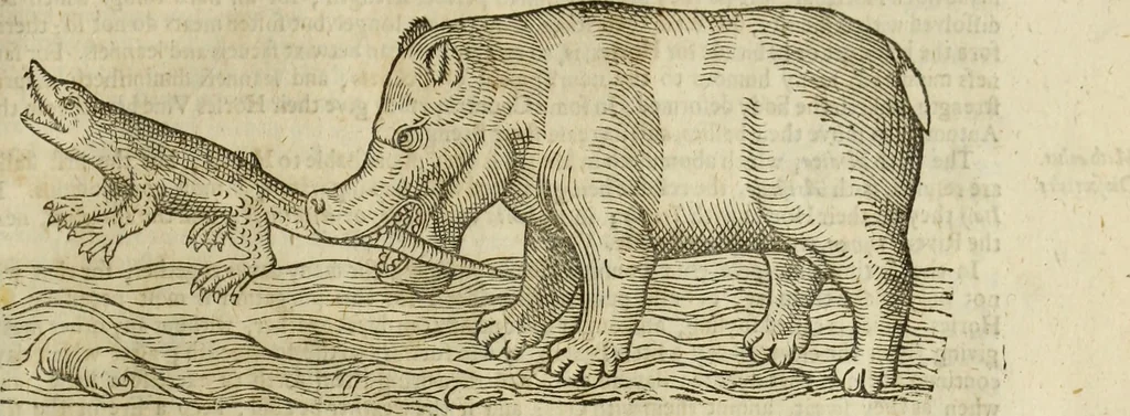 An illustration from The history of four-footed beasts and serpents., 1658, leaf 272
