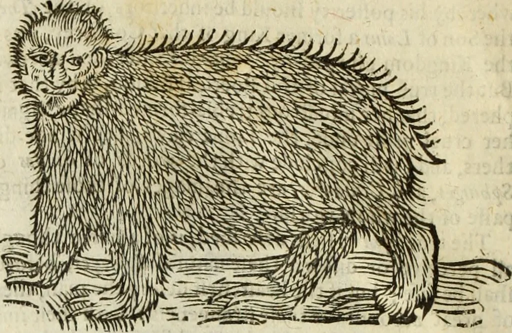 An illustration from The history of four-footed beasts and serpents., 1658, leaf 31