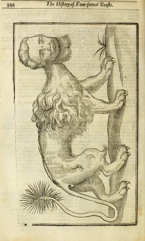 An illustration from The history of four-footed beasts and serpents., 1658, leaf 359