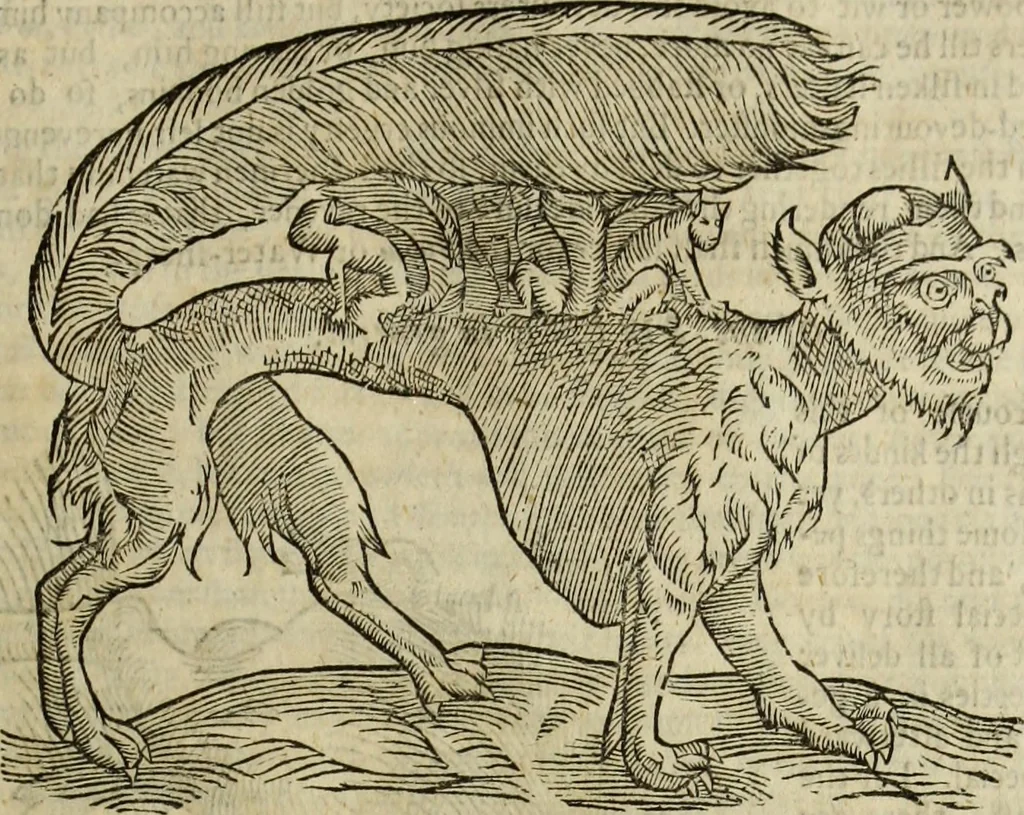 An illustration from The history of four-footed beasts and serpents., 1658, leaf 526