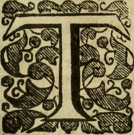 An illustration from The history of four-footed beasts and serpents., 1658, leaf 606