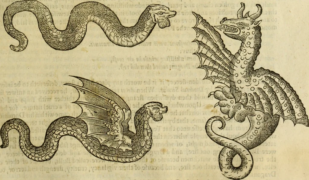 An illustration from The history of four-footed beasts and serpents., 1658, leaf 716