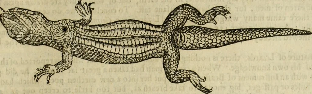 An illustration from The history of four-footed beasts and serpents., 1658, leaf 754