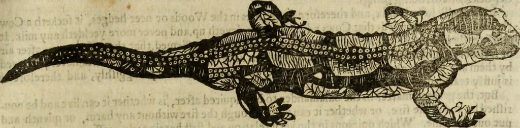 An illustration from The history of four-footed beasts and serpents., 1658, leaf 762