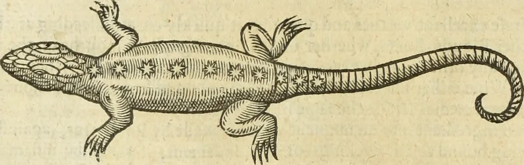 An illustration from The history of four-footed beasts and serpents., 1658, leaf 805