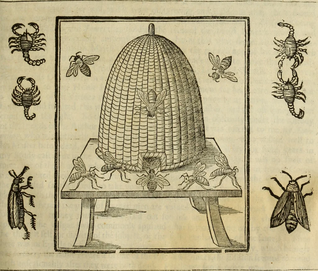 An illustration from The history of four-footed beasts and serpents., 1658, leaf 840