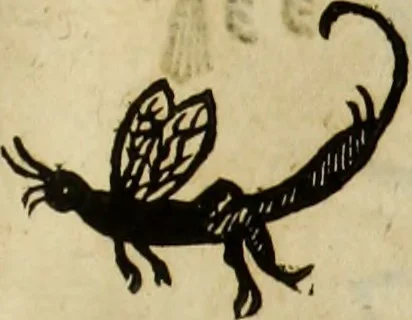 An illustration from The history of four-footed beasts and serpents., 1658, leaf 902