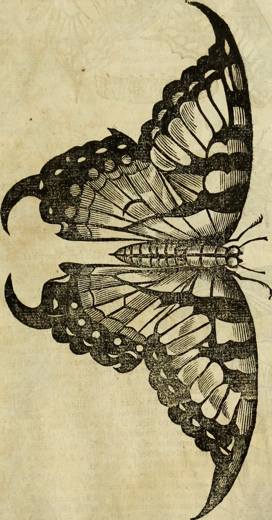 An illustration from The history of four-footed beasts and serpents., 1658, leaf 930