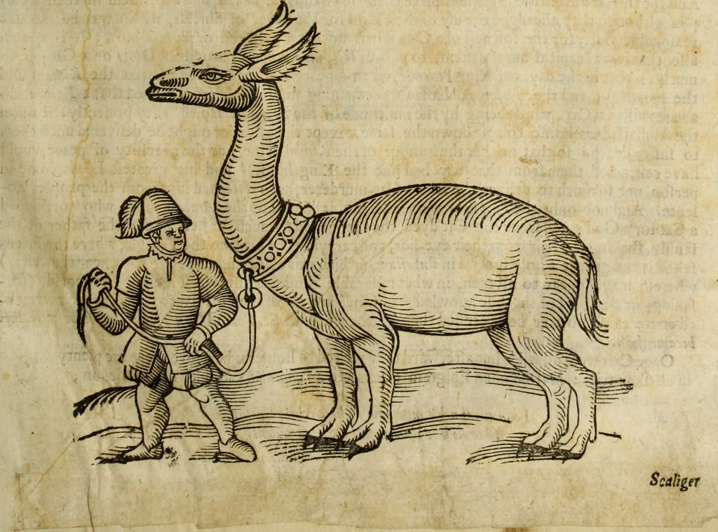 An illustration from The history of four-footed beasts and serpents., 1658, leaf 94