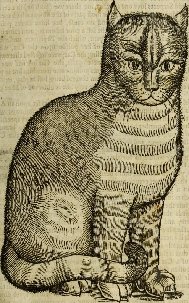 An illustration from The history of four-footed beasts and serpents., 1658, leaf 96